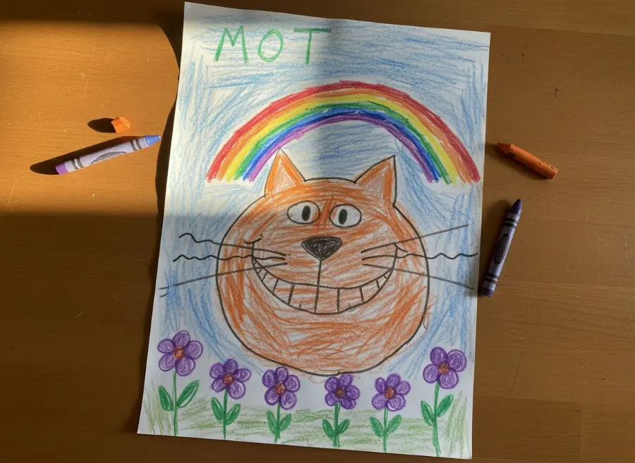 La photo du dessin de Tom, 5 ans, avant